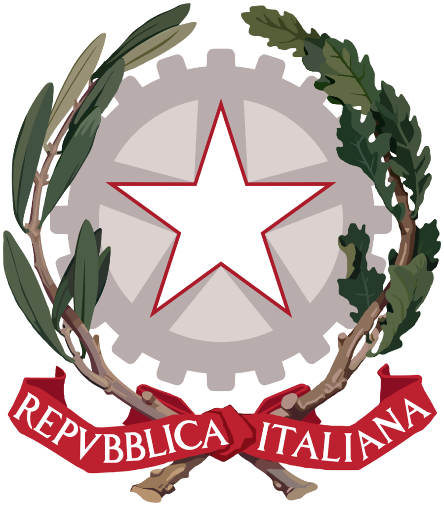 DECRETO DEL PRESIDENTE DELLA REPUBBLICA 28 febbraio 2003 , n. 132